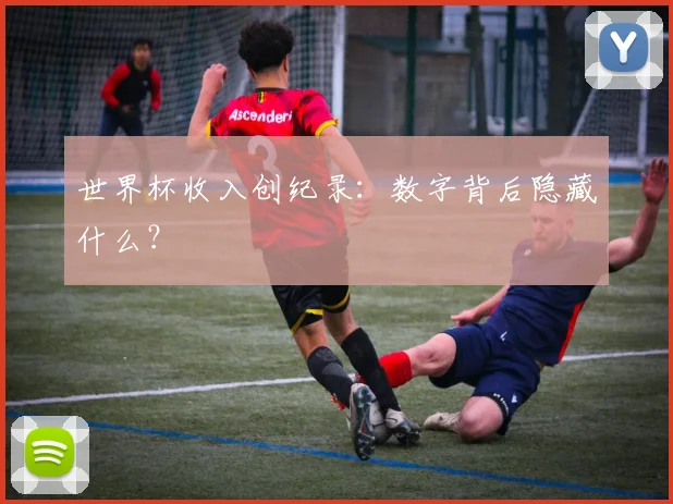 世界杯收入创纪录：数字背后隐藏什么？