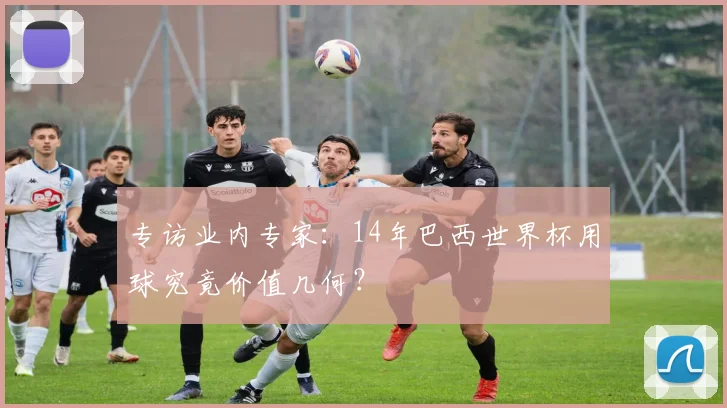 专访业内专家:14年巴西世界杯用球究竟价值几何?