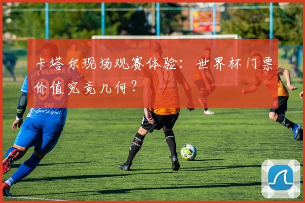 卡塔尔现场观赛体验:世界杯门票价值究竟几何?