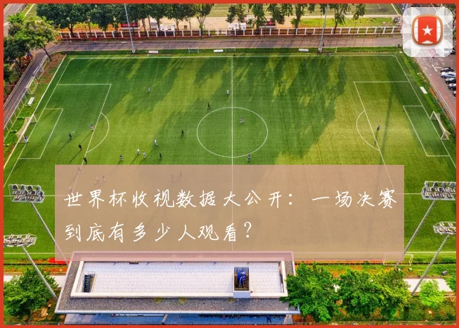 世界杯收视数据大公开：一场决赛到底有多少人观看？