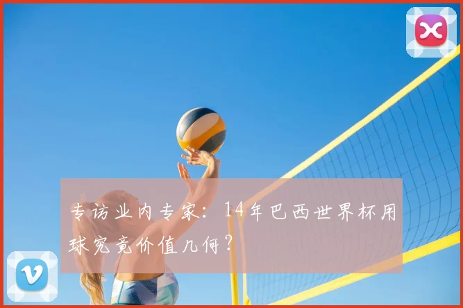 专访业内专家：14年巴西世界杯用球究竟价值几何？