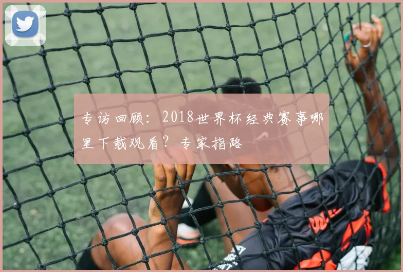专访回顾：2018世界杯经典赛事哪里下载观看？专家指路