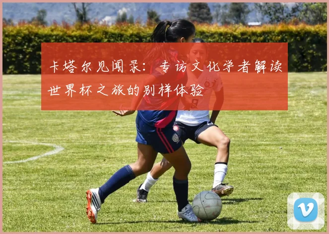 卡塔尔见闻录:专访文化学者解读世界杯之旅的别样体验