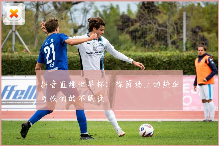抖音直播世界杯:绿茵场上的热血与我们的不眠夜