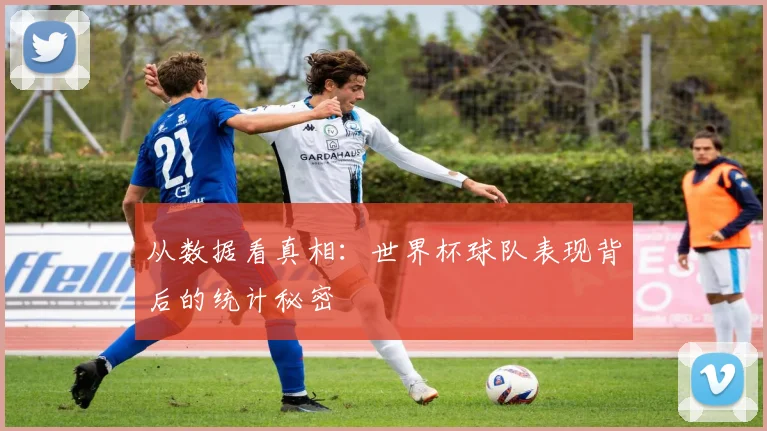 从数据看真相:世界杯球队表现背后的统计秘密