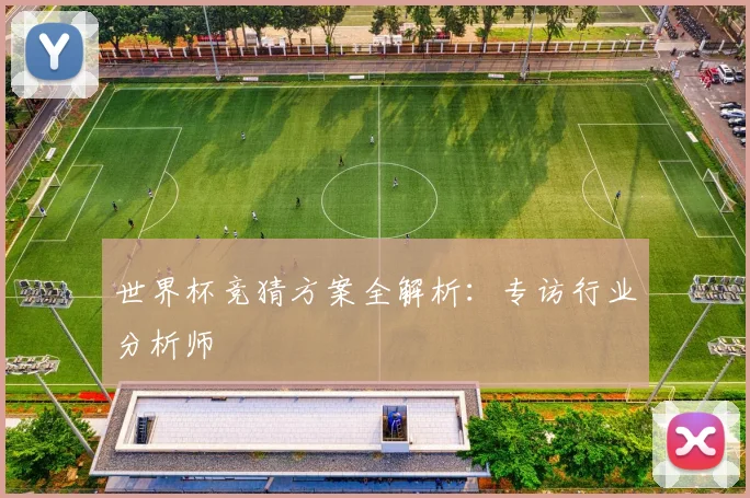 世界杯竞猜方案全解析：专访行业分析师
