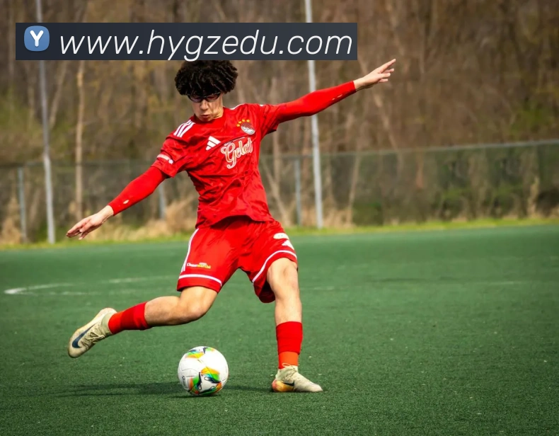 mksports官方网站APP 封面图